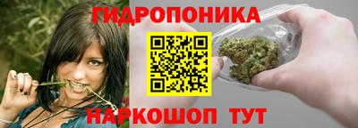 СК Кунгур