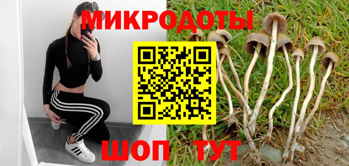 Зерноград  Псилоцибиновые грибы прущие грибы  купить  цена  Вход с VPN 