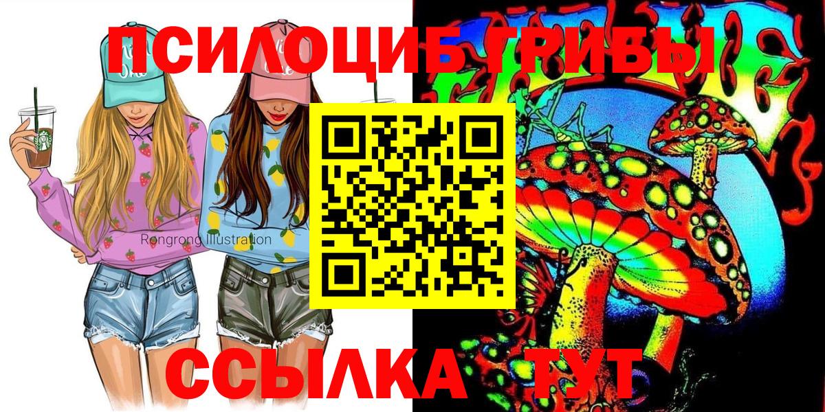Псилоцибиновые грибы Psilocybine cubensis Зерноград